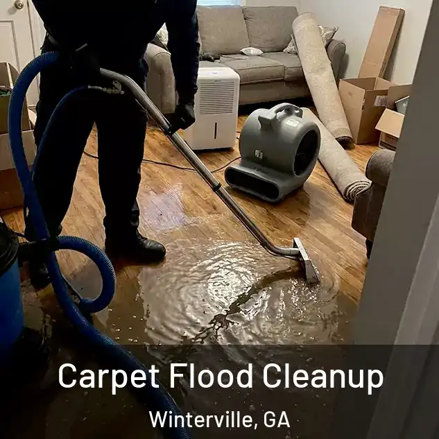  Carpet Flood Cleanup Winterville, GA