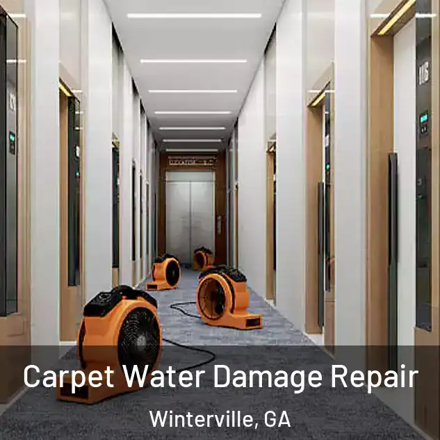  Carpet Water Damage Repair Winterville, GA