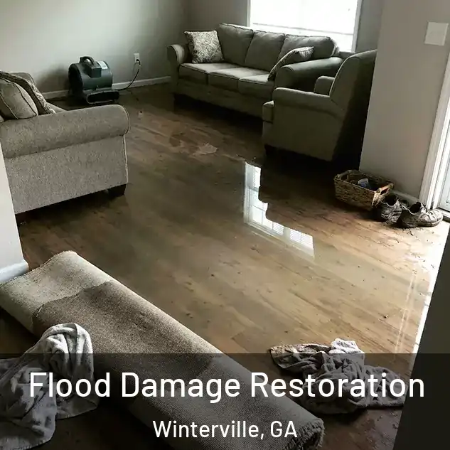  Flood Damage Restoration Winterville, GA