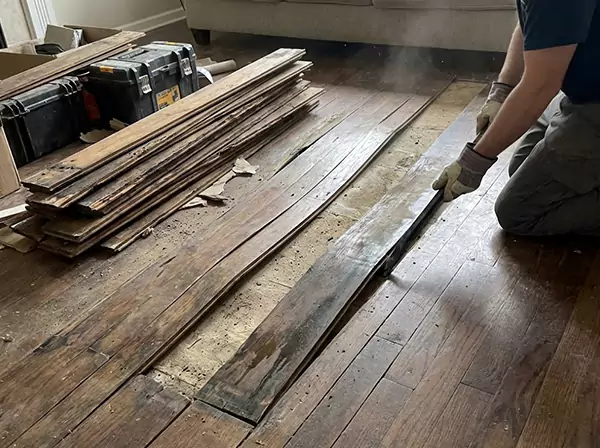 Water Damage Drying in Winterville