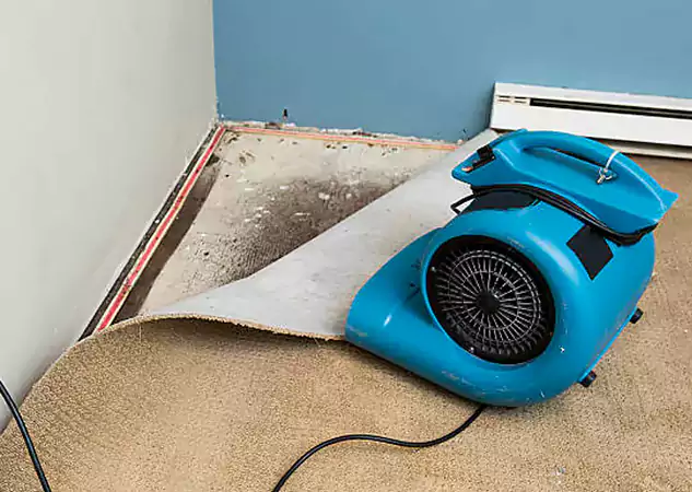 Your Water Damage Experts in Winterville, GA