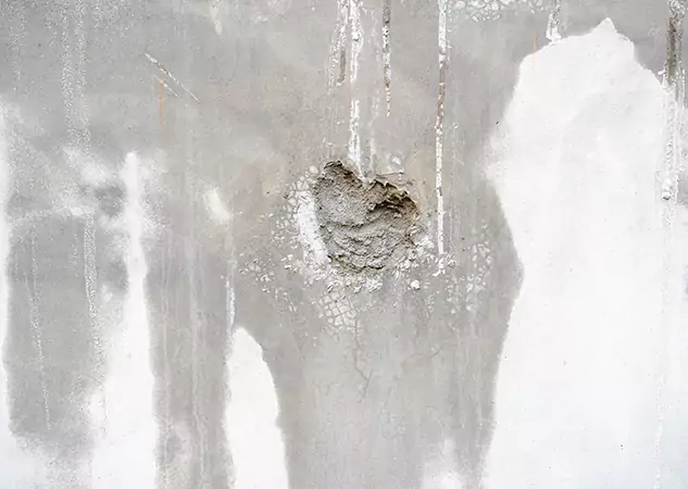 Your Mold Mitigation Solutions Partner in Winterville, GA