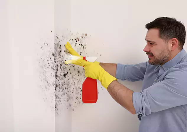 Your Water Mold Fire Restoration Partner in Winterville, GA