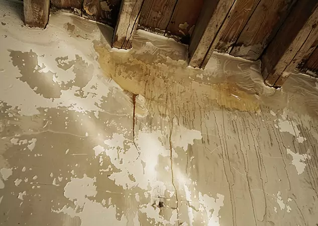 Your Trusted Restoration Company in Winterville, GA