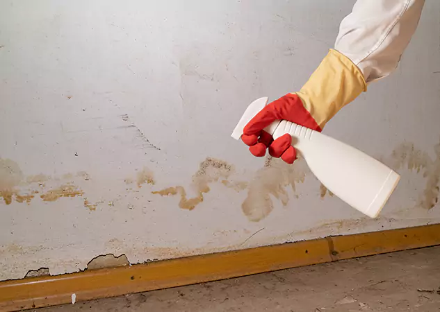 Your Water Restoration and Mold Remediation Specialists in Winterville, GA