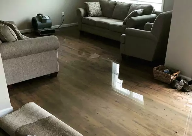 Your Trusted Restoration Company in Winterville, GA