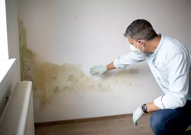 Reach Our Remediation Team Before Damage Grows in Winterville, GA!