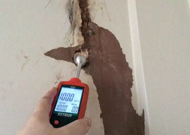 Your Water Damage Assessment Partner in Winterville, GA