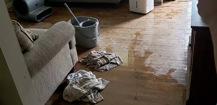 Professional Basement Water Remediation Services in Winterville, GA