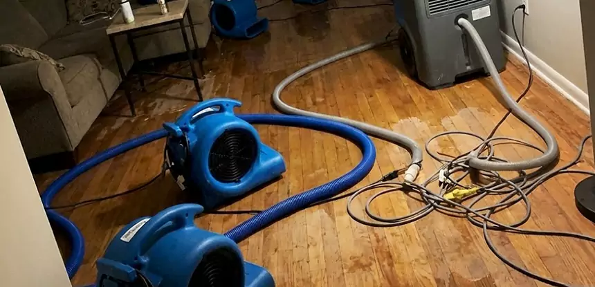 Basement Flood Restoration Services in Winterville