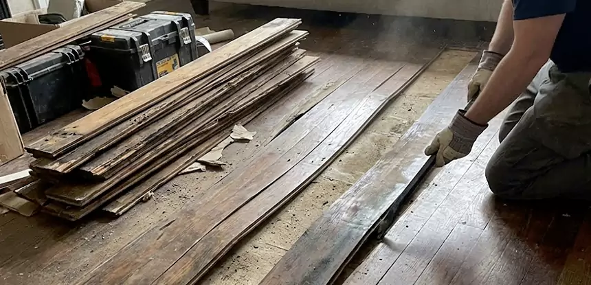 Wood Rot and Fungus Repair in Winterville
