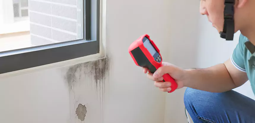 Wall Texture Repair After Mold in Winterville