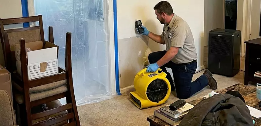 Carpet Water Damage Repair Winterville