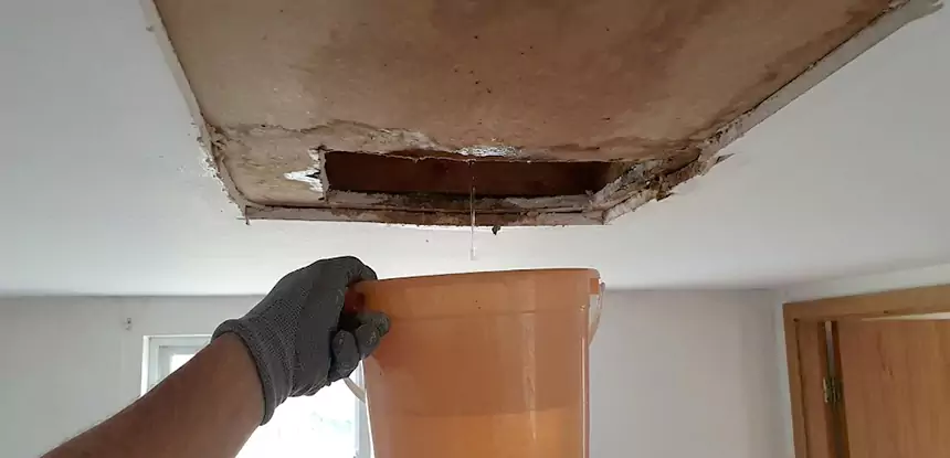 Ceiling Mold Repair Winterville 
