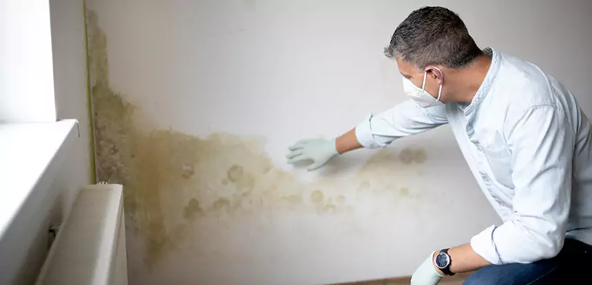 Mold and Water Damage Repair in Winterville
