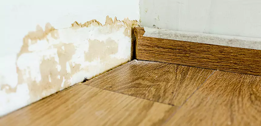 Professional Fix Water Damaged Wood Services in Winterville, GA
