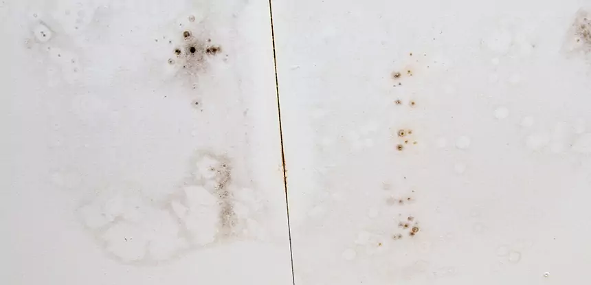 Professional Water Stain Repair Services in Winterville, GA