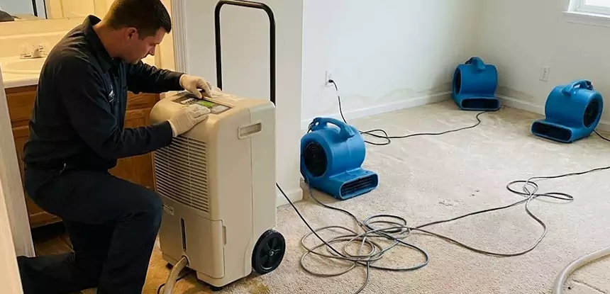 Professional Wet Carpet Removal Services in Winterville, GA