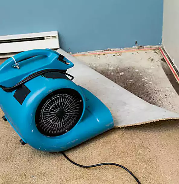 Why Winterville Trusts Winterville Restoration Pro for Carpet Flood Recovery?