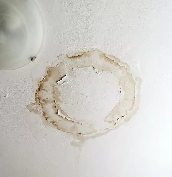 Why Winterville Property Owners Choose Winterville Restoration Pro for Ceiling Water Damage Restoration?