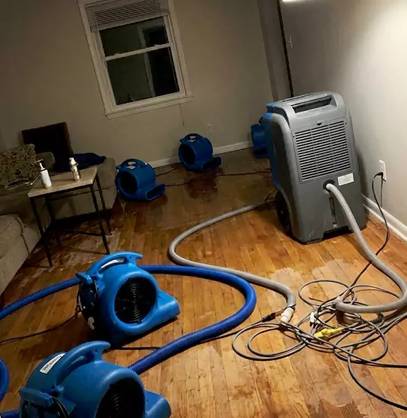 Why Winterville Calls Winterville Restoration Pro First for Emergency Restoration?