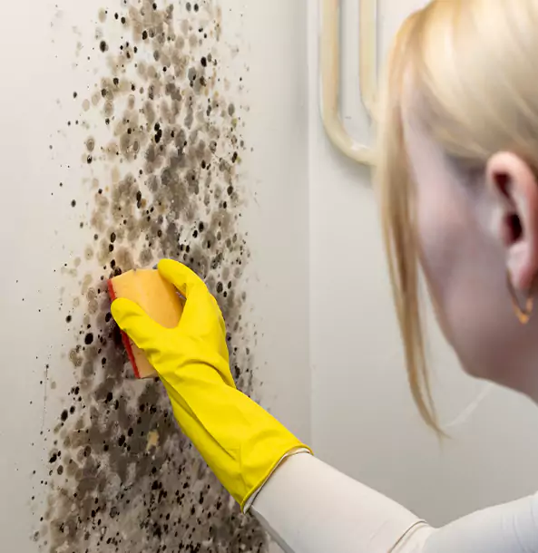 Why Winterville Restoration Pro Leads Mold Remediation in Winterville?