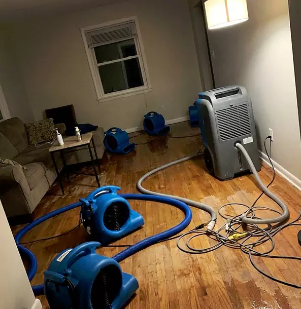 Why Winterville Property Owners Rely on Winterville Restoration Pro for Remediation?