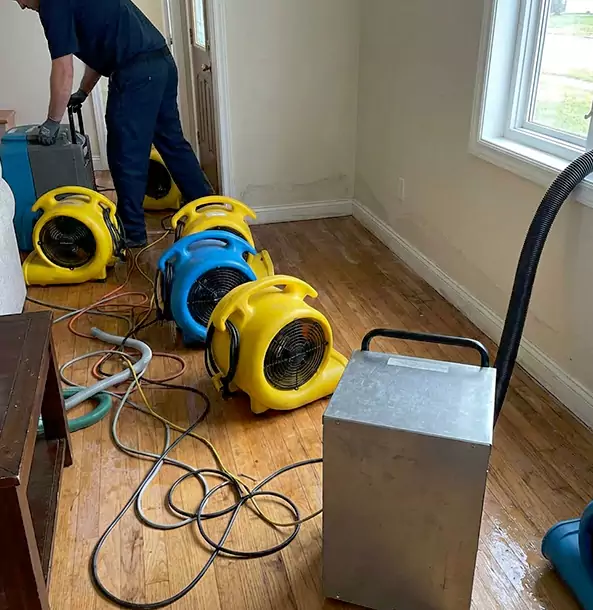 Why Winterville Property Owners Choose Winterville Restoration Pro for Remediation?