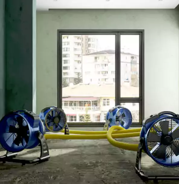 Why Winterville Property Owners Trust Winterville Restoration Pro for Water Damage Drying?