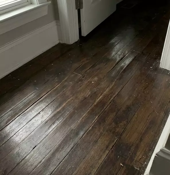 Why Winterville Homeowners Trust Winterville Restoration Pro to Fix Water Damaged Wood?