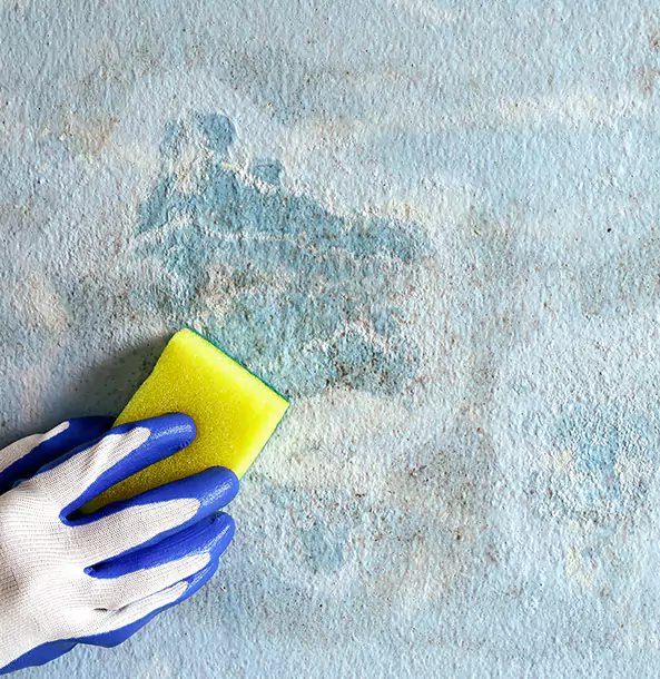 Why Winterville Restoration Pro Is the Right Choice in Winterville, GA?