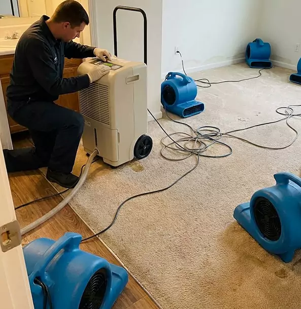 Why Winterville Homeowners and Businesses Trust Winterville Restoration Pro for Carpet Drying?