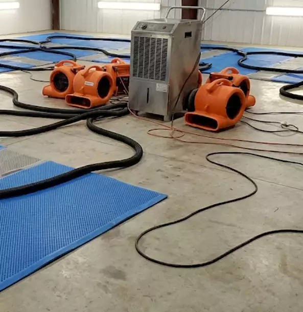 Why Winterville Homeowners and Businesses Choose Winterville Restoration Pro for Wet Carpet Removal?