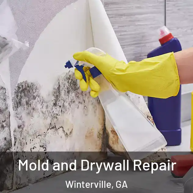  Mold and Drywall Repair Winterville, GA