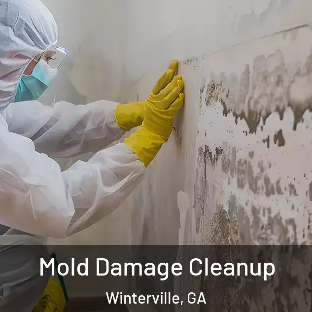  Mold Damage Cleanup Winterville, GA