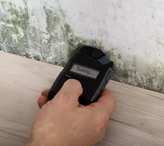Mold Remediation Service Winterville