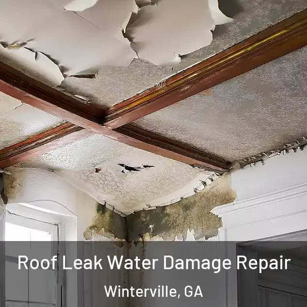  Roof Leak Water Damage Repair Winterville, GA