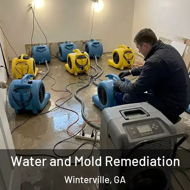  Water and Mold Remediation Winterville, GA