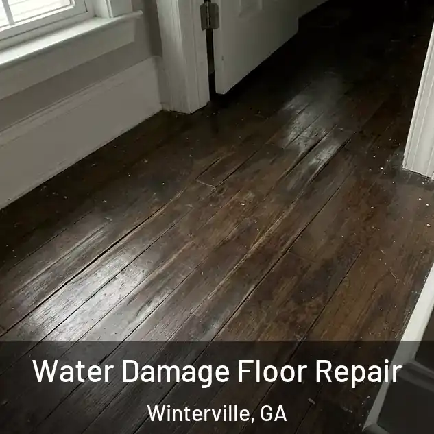  Water Damage Floor Repair Winterville, GA