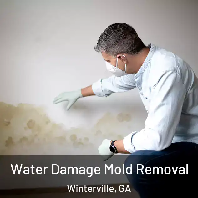 Water Damage Mold Removal Winterville, GA