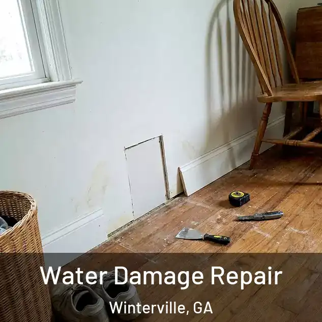  Water Damage Repair Winterville, GA