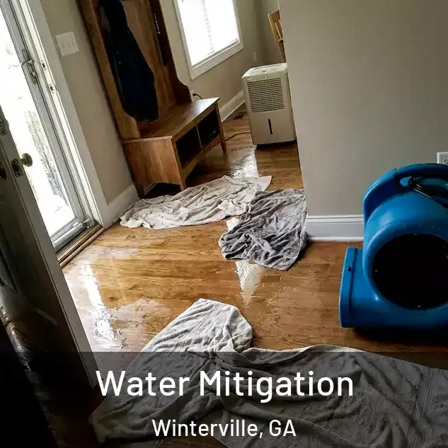  Water Mitigation Winterville, GA