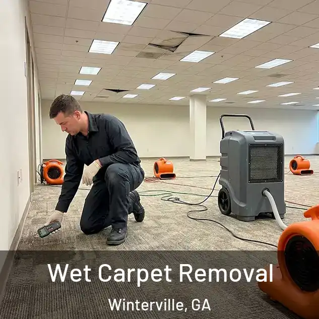  Wet Carpet Removal Winterville, GA